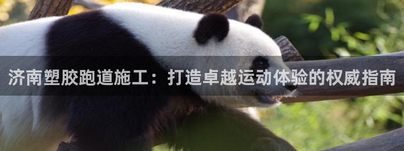 谈球吧论坛：济南塑胶跑道施工：打造卓越运动体验的权威指南