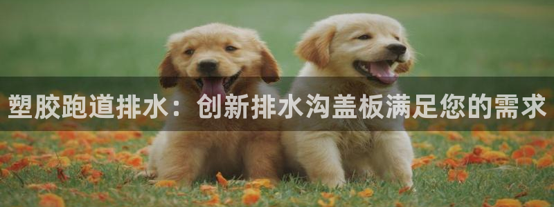 谈球吧APP