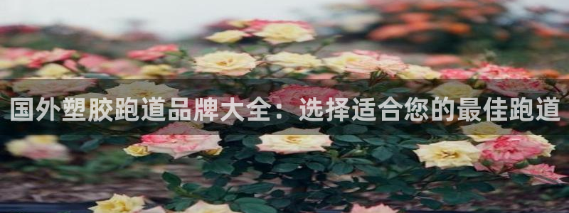 谈球吧-体育赛事：国外塑胶跑道品牌大全：选择适合您的