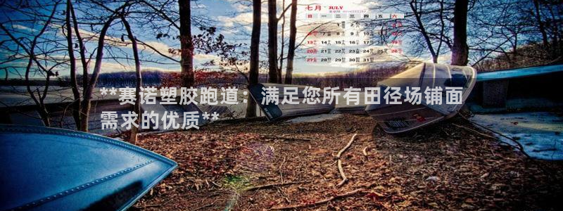 谈球吧官网登录：**赛诺塑胶跑道：满足您所有田径场铺面
需求的优质**