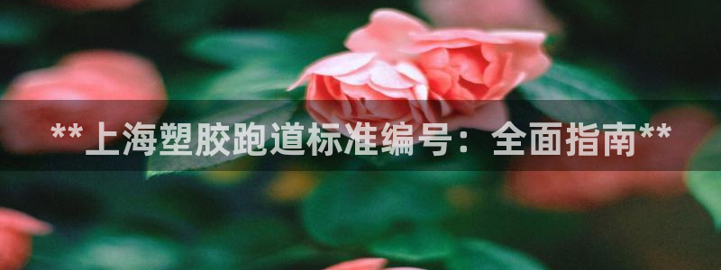 谈球吧平台正规吗可信吗知乎：**上海塑胶跑道标准编号：全面指南**