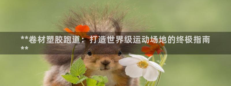 谈球吧官网在线入口手机版：**卷材塑胶跑道：打造世界