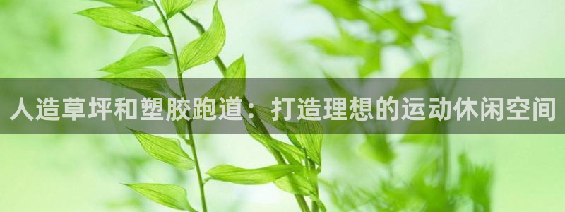 谈球吧体育app下载官网苹果手机：人造草坪和塑胶跑道：打造理想的运动休闲空间