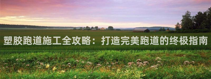 谈球吧在线登录：塑胶跑道施工全攻略：打造完美跑道的终极指南