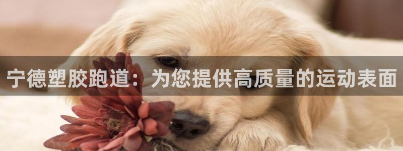 谈球吧官网在线入口免费观看高清版：宁德塑胶跑道：为您提供高质量的运动表面
