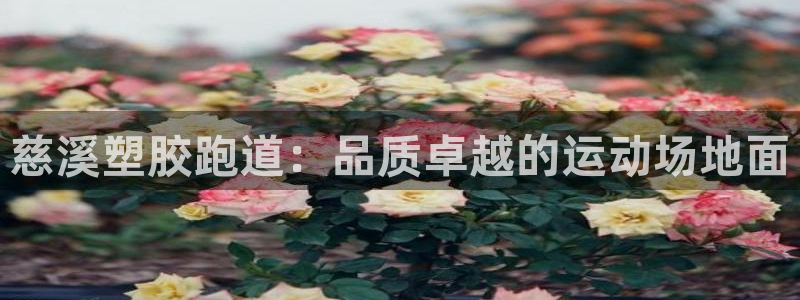 谈球吧体育app下载中心官网：慈溪塑胶跑道：品质卓越的运动场地面