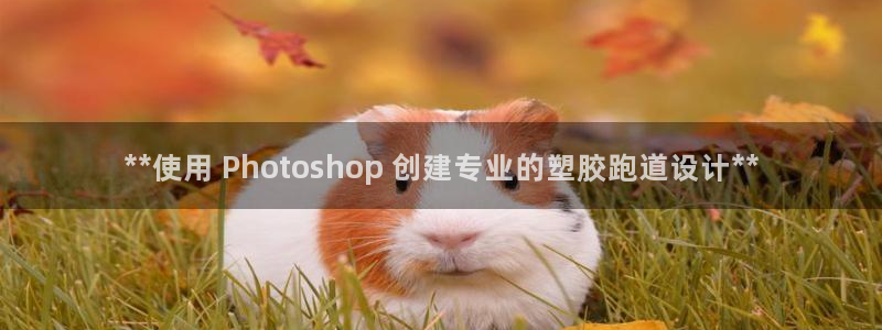 谈球吧app官网下载：**使用 Photoshop 