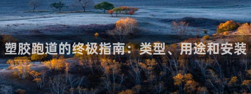 谈球吧首页：塑胶跑道的终极指南：类型、用途和安装