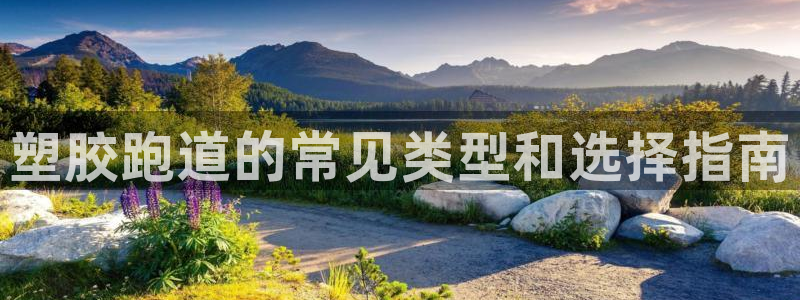 谈球吧下载：塑胶跑道的常见类型和选择指南