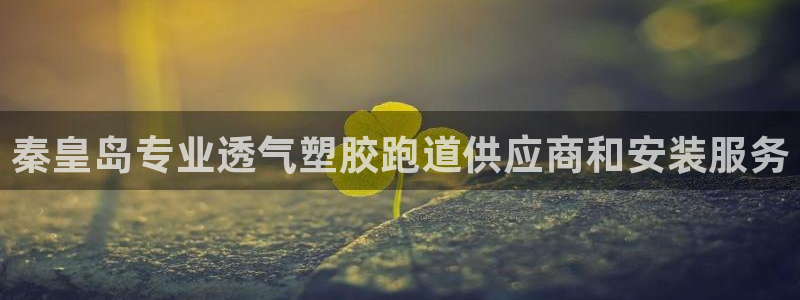 谈球吧体育app下载足球比赛直播：秦皇岛专业透气塑胶跑道供应商和安装服务