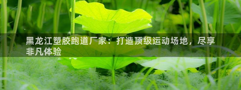 谈球吧属于哪个旗下的品牌：黑龙江塑胶跑道厂家：打造顶
