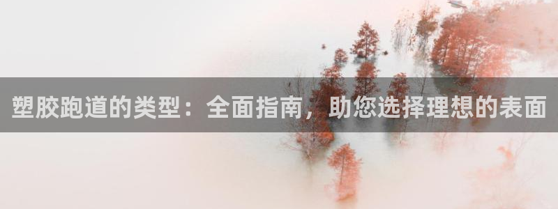 谈球吧tvt：塑胶跑道的类型：全面指南，助您选择理想