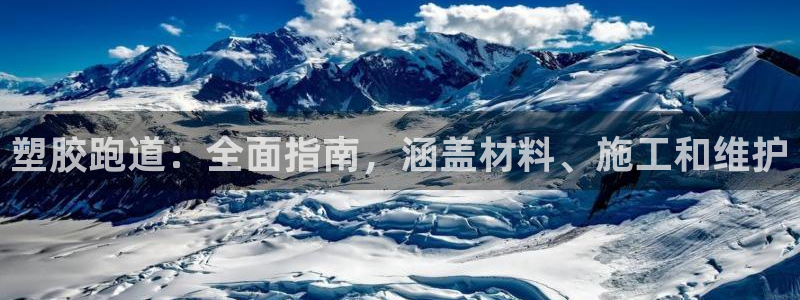 谈球吧体育app下载官网：塑胶跑道：全面指南，涵盖材料、施工和维护