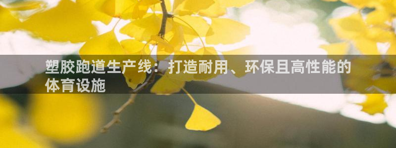 谈球吧官网登录：塑胶跑道生产线：打造耐用、环保且高性能的
体育设施