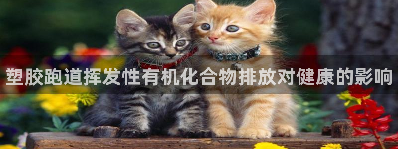 谈球吧是正规平台吗：塑胶跑道挥发性有机化合物排放对健