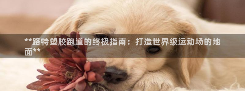 谈球吧体育app官网下载：**路特塑胶跑道的终极指南：打造世界级运动场的地
面**