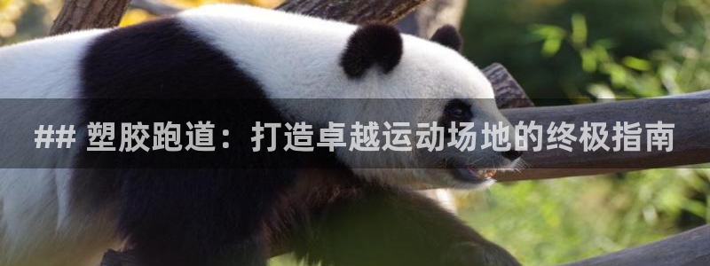 谈球吧体育app下载官网手机版安装