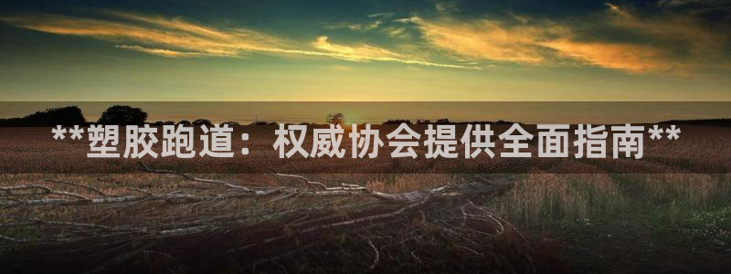 谈球吧网页登陆：**塑胶跑道：权威协会提供全面指南**