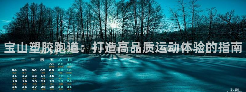 谈球吧网app官网下载：宝山塑胶跑道：打造高品质运动体验的指南