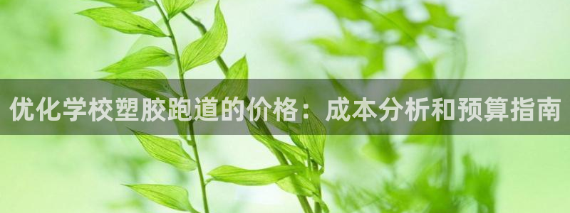 谈球吧黑款不：优化学校塑胶跑道的价格：成本分析和预算