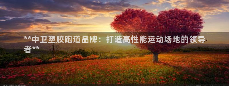 谈球吧在线登录免费观看：**中卫塑胶跑道品牌：打造高性能运动场地的领导
者**