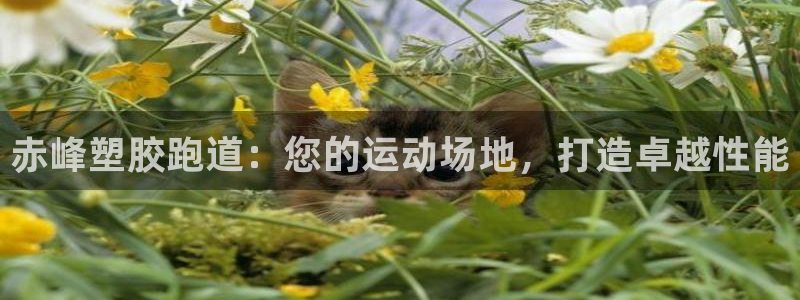 谈球吧属于哪个：赤峰塑胶跑道：您的运动场地，打造卓越