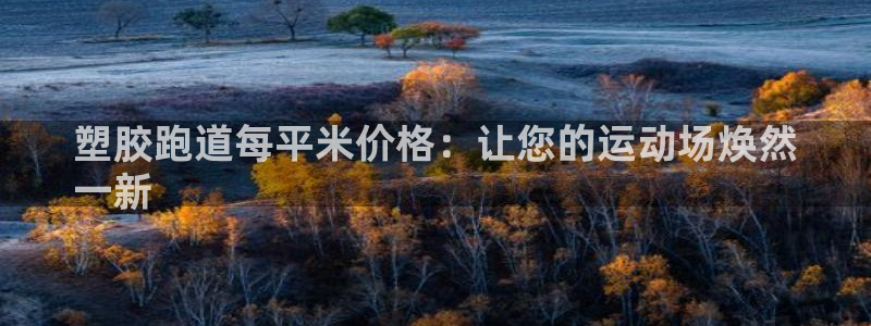 谈球吧登录网：塑胶跑道每平米价格：让您的运动场焕然
一新