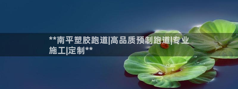 谈球吧出款：**南平塑胶跑道|高品质预制跑道|专业
施工|定制**