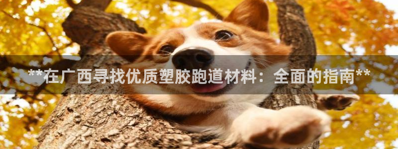 谈球吧咋样黑钱：**在广西寻找优质塑胶跑道材料：全面的指南**