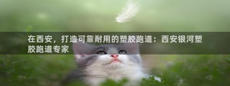 谈球吧app下载：在西安，打造可靠耐用的塑胶跑道：西安银河塑
胶跑道专家