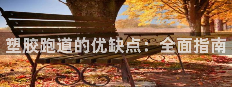 谈球吧怎么样?：塑胶跑道的优缺点：全面指南