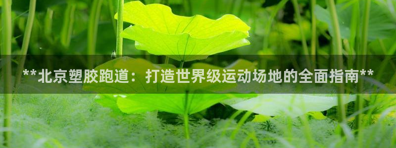 谈球吧官网在线入口手机版免费下载