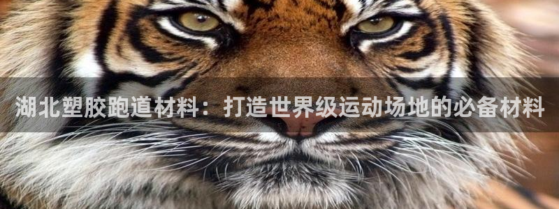 谈球吧app体育：湖北塑胶跑道材料：打造世界级运动场地的必备材料