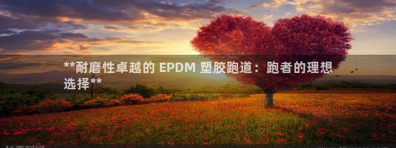 谈球吧是黑台子吗还是白台子：**耐磨性卓越的 EPDM 塑胶跑道：跑者的理想
选择**