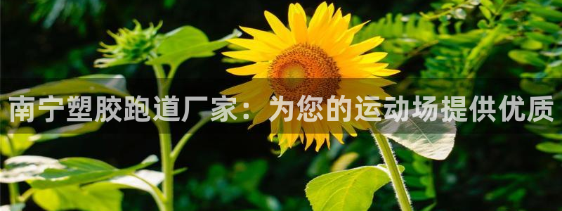 谈球吧官网app：南宁塑胶跑道厂家：为您的运动场提供优质