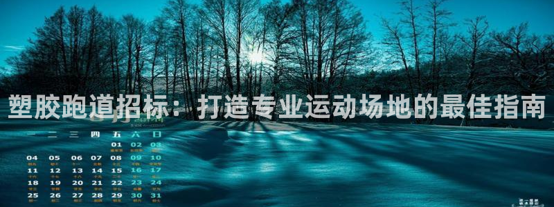谈球吧登录地址：塑胶跑道招标：打造专业运动场地的最佳指南