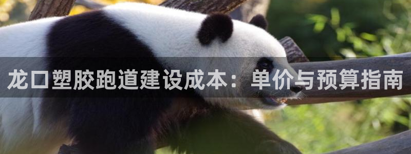 谈球吧属于哪个：龙口塑胶跑道建设成本：单价与预算指南