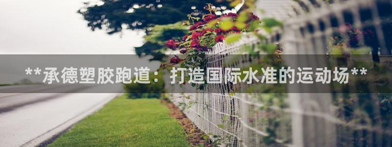 谈球吧的聊天软件：**承德塑胶跑道：打造国际水准的运动场**