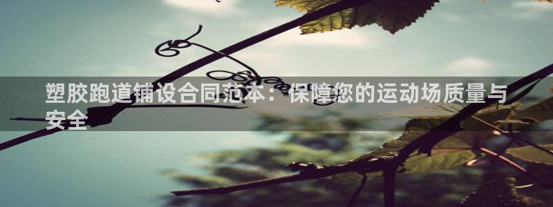 谈球吧是黑台子吗还是白台：塑胶跑道铺设合同范本：保障