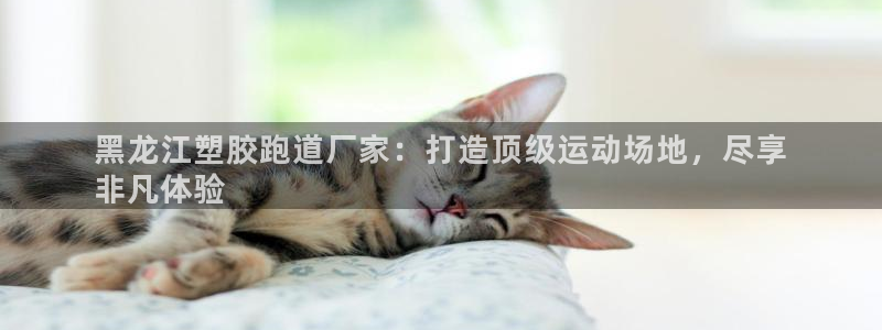 谈球吧算违法行为吗为什么：黑龙江塑胶跑道厂家：打造顶级运动场地，尽享
非凡体验