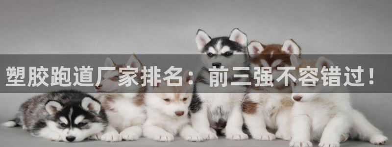 谈球吧体育app下载官网手机版：塑胶跑道厂家排名：前