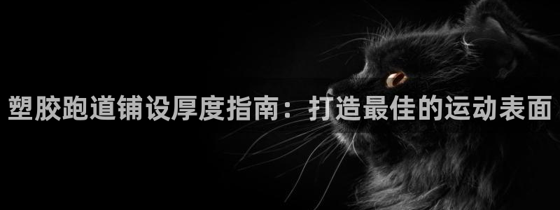谈球吧官网在线入口免费观看