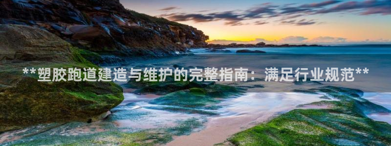 谈球吧官网登录：**塑胶跑道建造与维护的完整指南：满足行业规范**