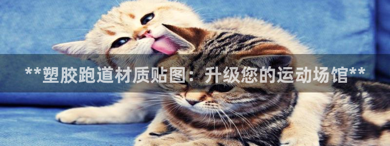 谈球吧app下载安装：**塑胶跑道材质贴图：升级您的运动场馆**