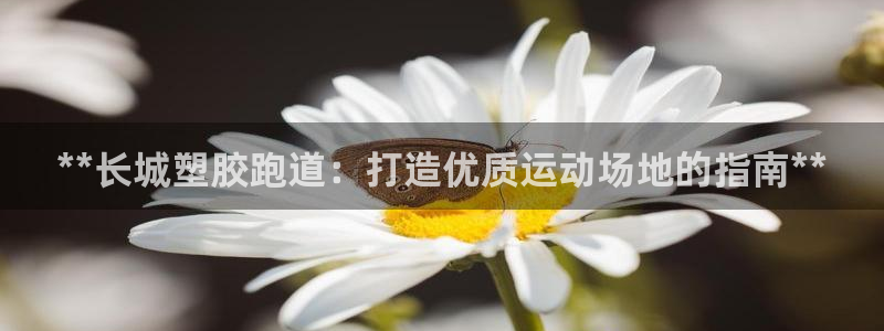 谈球吧体育app下载官网安卓：**长城塑胶跑道：打造优质运动场地的指南**