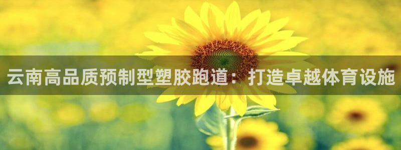 谈球吧的聊天软件下载：云南高品质预制型塑胶跑道：打造