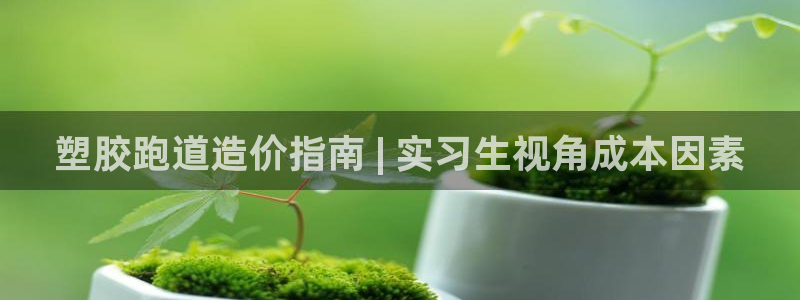 谈球吧网页版：塑胶跑道造价指南 | 实习生视角成本因