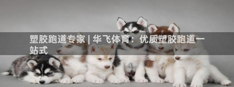谈球吧娱乐app下载官网苹果手机：塑胶跑道专家 | 华飞体育：优质塑胶跑道一
站式