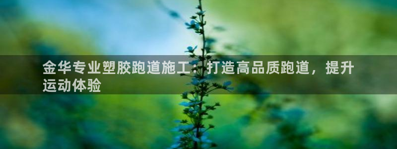 谈球吧体育ios下载：金华专业塑胶跑道施工：打造高品