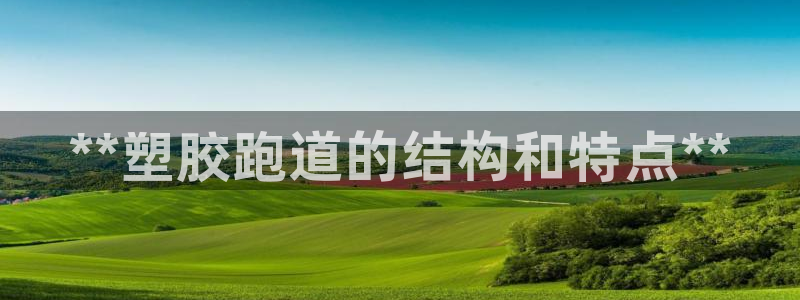 谈球吧官网在线入口免费观看高清视频：**塑胶跑道的结构和特点**